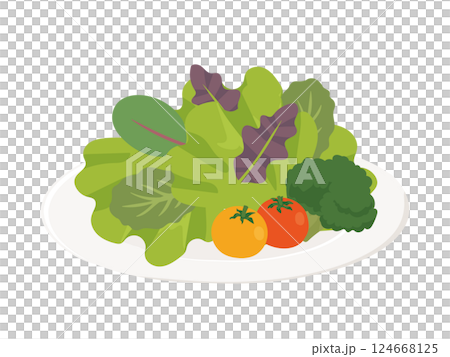 お皿に盛りつけたサラダのイラスト お皿に盛りつけたサラダのイラスト 124668125