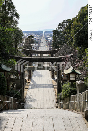 光の道（縦） 124668336