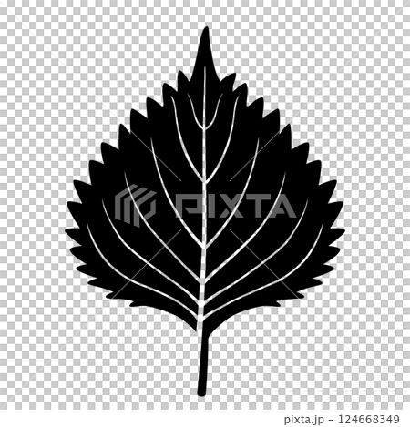 Perilla icon Perilla icon 124668349