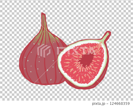 Illustration of ripe and cut figs 124668359