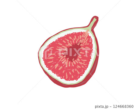 カットされた熟れたイチジクを斜めから見たイラスト 124668360