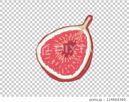 An illustration of a ripe cut fig seen from an angle 124668360