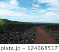 三宅島 火山体験遊歩道 124668517