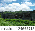 三宅島 阿古小中学校 溶岩 124668518