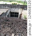 三宅島 阿古小中学校 溶岩 124668520