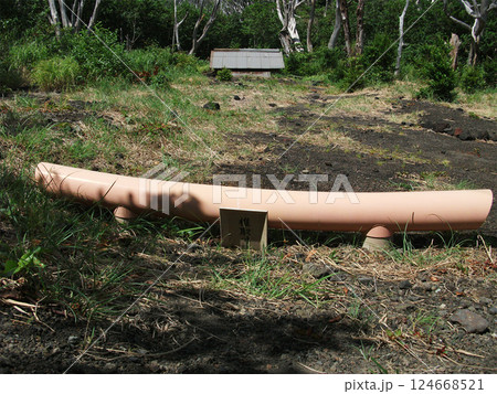 三宅島 椎鳥神社鳥居 溶岩 124668521
