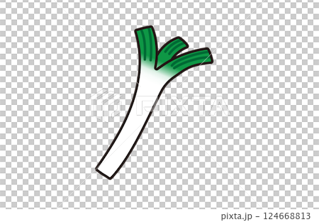 シンプルなネギのイラスト 124668813