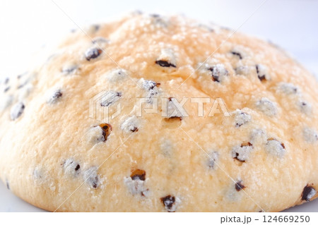 チョコレートがたくさん入った、チョコチップ入りのメロンパン チョコレートがたくさん入った、チョコチップ入りのメロンパン 124669250