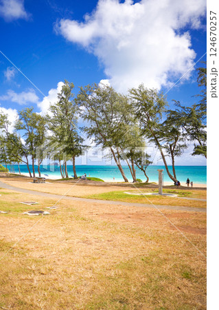 ハワイ　ワイマナロビーチ 124670257