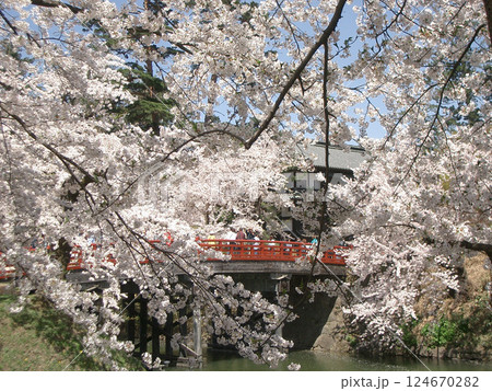 弘前城の杉の大橋（青森県弘前市） 124670282