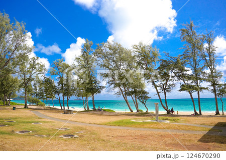 ハワイ ワイマナロビーチ ハワイ ワイマナロビーチ 124670290