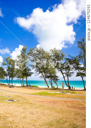 ハワイ　ワイマナロビーチ 124670291