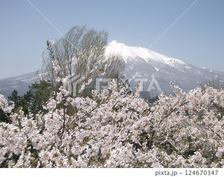 弘前城の本丸から岩木山（青森県弘前市） 124670347