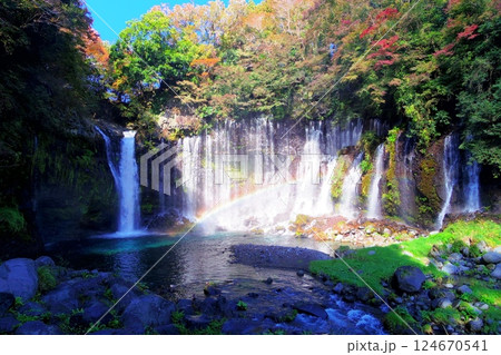 白糸の滝と虹 白糸の滝と虹 124670541