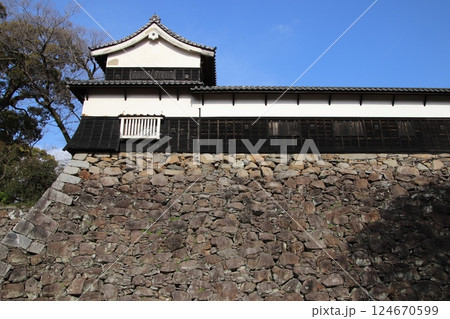 福岡市の福岡城南丸多聞櫓と満開の桜 福岡市の福岡城南丸多聞櫓と満開の桜 124670599