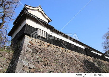 福岡市の福岡城南丸多聞櫓と満開の桜 福岡市の福岡城南丸多聞櫓と満開の桜 124670600