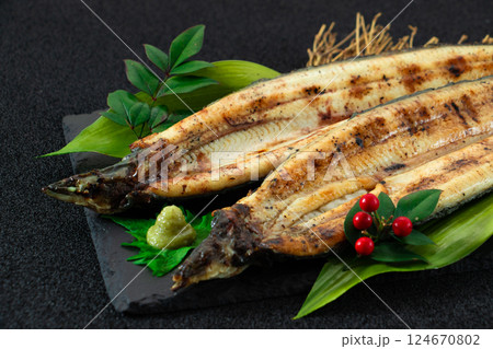 鰻　うなぎ　白焼き 124670802