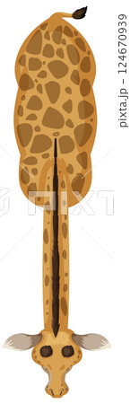 Top-Down View of a Giraffe 124670939