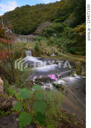 田舎の渓流 124671100