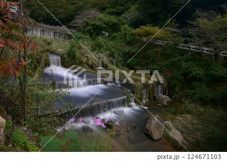 田舎の渓流 124671103