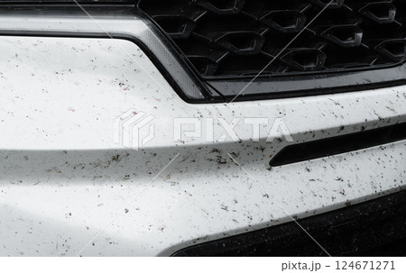 Insects stuck to the body of a white car. Insects and midges squashed on the car. Bumper covered with a large number of insects and flies Insects stuck to the body of a white car. Insects and midges squashed on the car. Bumper covered with a large number of insects and flies 124671271