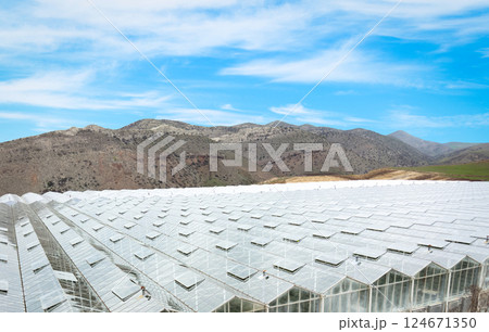Aerial view industrial agricultural greenhouses for growing. Greenhouse industrial exterior. Food farming industry with giant buildings. Industrial modern farm glasshouse. Aerial view industrial agricultural greenhouses for growing. Greenhouse industrial exterior. Food farming industry with giant buildings. Industrial modern farm glasshouse. 124671350