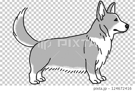 コーギー　corgi　犬のイラスト　シンプル 124672416
