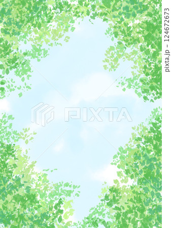 背景 見上げた木々の緑と空 背景 見上げた木々の緑と空 124672673