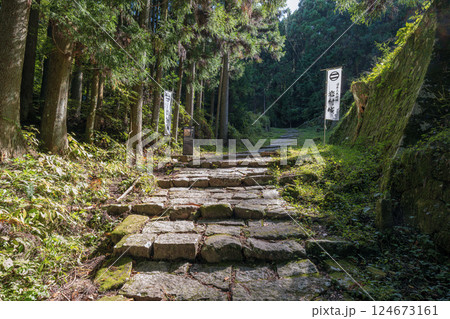 岐阜 岩村城 畳橋 岐阜 岩村城 畳橋 124673161