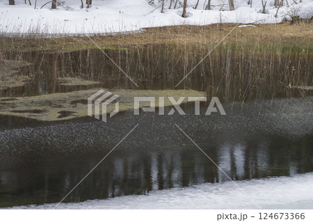 雪の積もった池 雪の積もった池 124673366