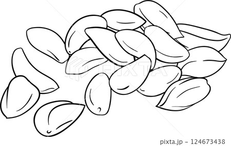 Brazil  Nuts  Outline Illustration 124673438
