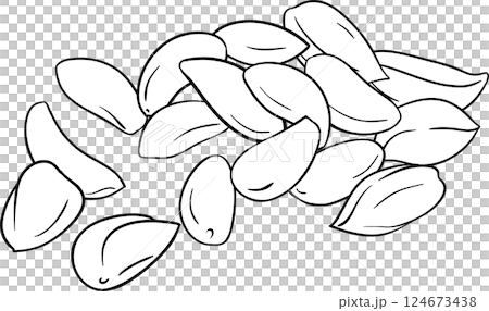 Brazil  Nuts  Outline Illustration 124673438