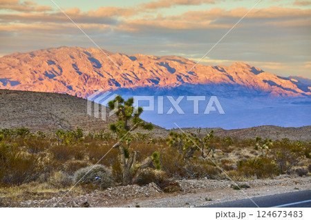 Joshua Trees and Mountain Range at Sunset Golden Hour Perspective Joshua Trees and Mountain Range at Sunset Golden Hour Perspective 124673483