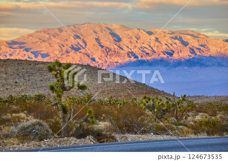 Desert Sunset with Joshua Tree and Mount Charleston Eye-Level View 124673535