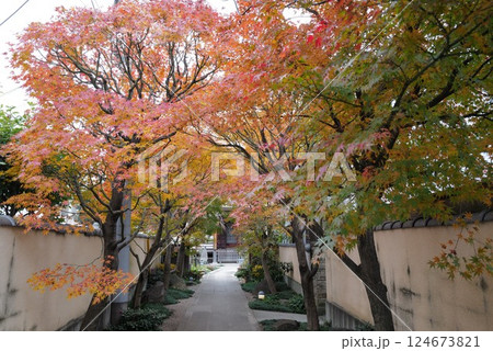 正泉寺 正泉寺 124673821
