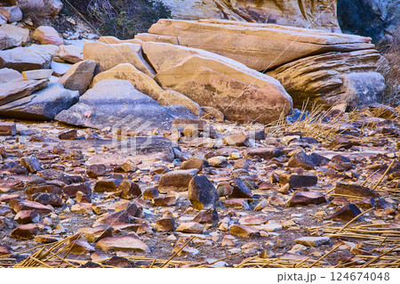 Quail on Rocky Sandstone at Sunrise Calico Tanks Trail Perspective 124674048