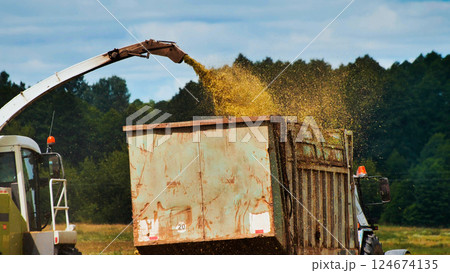 Combine harvester unloading harvested rapeseed into tractor trailer 124674135