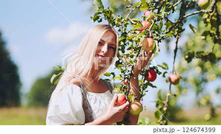 Blonde woman picking fresh apples from sunlit branches, experiencing bountiful summer orchard harvest with joyful enthusiasm Blonde woman picking fresh apples from sunlit branches, experiencing bountiful summer orchard harvest with joyful enthusiasm 124674399