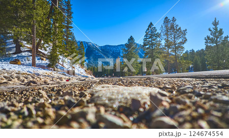 Snowy Mountain Path in Pine Forest Aerial 124674554