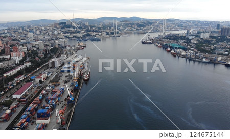 Cargo ships and bridges coexist in vladivostok harbor under a cloudy sky, creating a dynamic industrial seascape 124675144