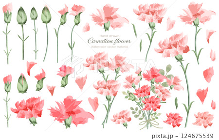 水彩で描いたカーネーションの花の素材セット 124675539