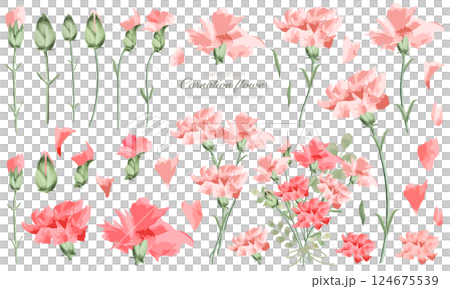 水彩で描いたカーネーションの花の素材セット 124675539