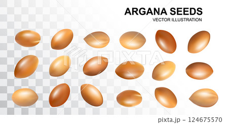 Argan Nuts set, Argania Oil Seeds for Natural Organic Cosmetic, Skincare Argan Fruits Argan Nuts set, Argania Oil Seeds for Natural Organic Cosmetic, Skincare Argan Fruits 124675570