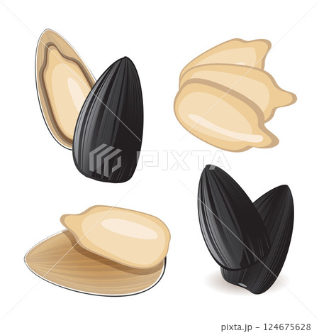 Sunflower seeds isolated, sun flower kernels vector icon. Realistic sun flower oil seeds, grains Sunflower seeds isolated, sun flower kernels vector icon. Realistic sun flower oil seeds, grains 124675628
