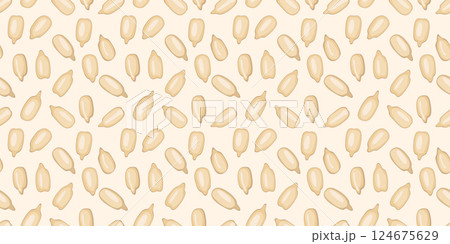 Sunflower seeds seamless pattern, peeled sun flower oil kernels vector background Sunflower seeds seamless pattern, peeled sun flower oil kernels vector background 124675629