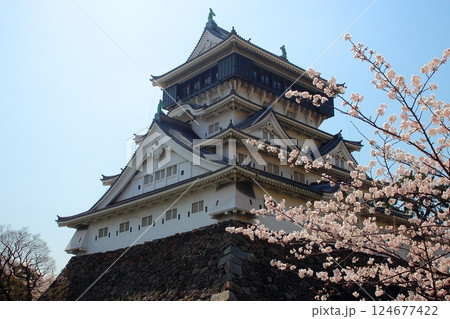 青空に小倉城と満開の桜の花 124677422