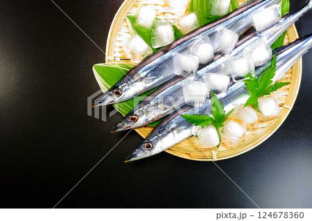 サンマ　秋刀魚　さんま 124678360