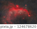 かもめ星雲_2024.01 124678620