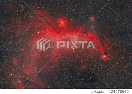 かもめ星雲_2024.01 124678620