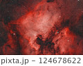 北アメリカ星雲_2023.07 124678622